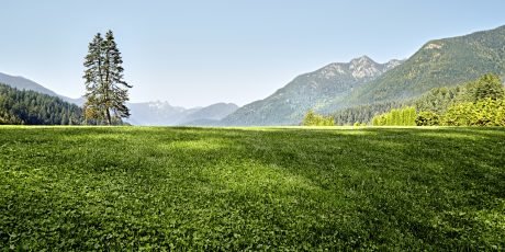 gatedesc's tweet image. The NCS 5500 product family is built to meet the massive bandwidth and operational needs of service providers in the most capital and operational-efficient manner! #CiscoNCS bit.ly/2tZ0sU4