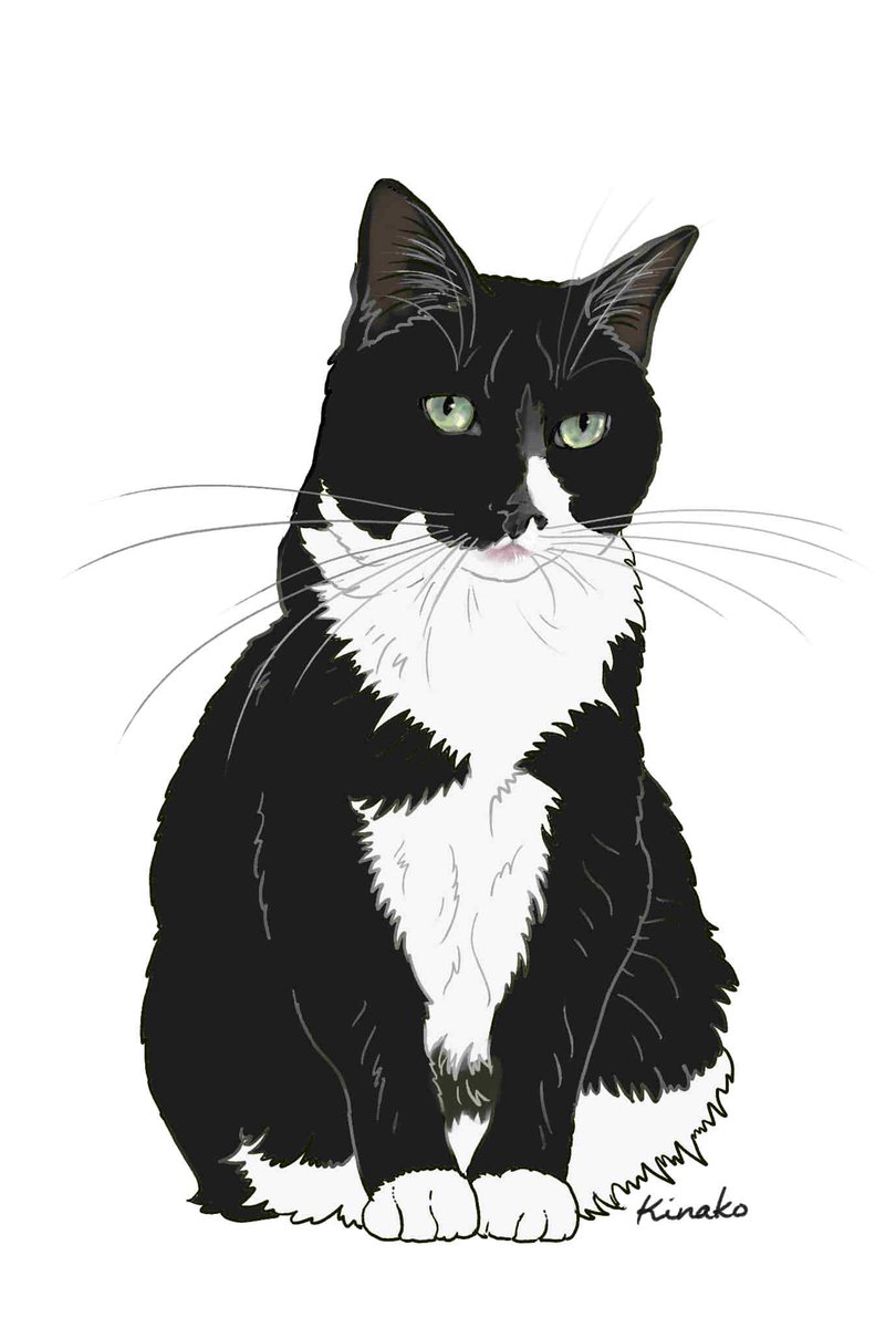 きなこ 猫の絵を描いています ちっちゃい白黒ハチワレ猫ちゃん かわいいですね 今 白黒猫ちゃんを描いてます 後ろ姿がとってもキュートなので イラストで描かせていただいてもいいでしょうか
