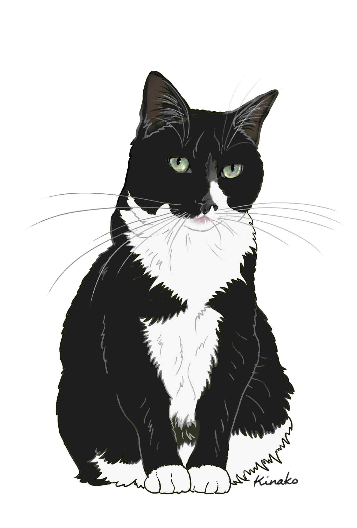 きなこ 猫の絵を描いています Lemoeko ちっちゃい白黒ハチワレ猫ちゃん かわいいですね 今 白黒猫ちゃんを描いてます 後ろ姿がとってもキュートなので イラストで描かせていただいてもいいでしょうか Twitter
