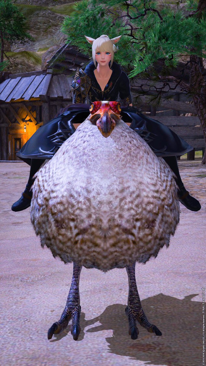 Ff14 ドードーマウントの各種族の乗り方 基本的に大股 ララフェルは許せる