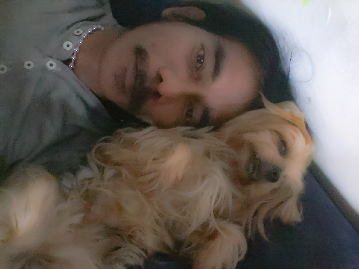 jamesmax0107's tweet photo. My dogiee... https://t.co/cJASNJkkHg