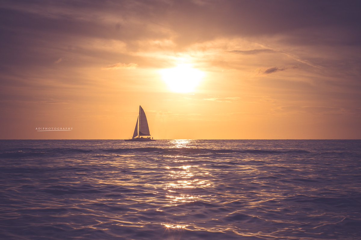 givemefaceco's tweet image. Women, just because you don’t look like somebody who you think is beautiful doesn’t mean you aren’t beautiful asf too. Flowers are pretty, but so are sunsets and they look nothing alike.