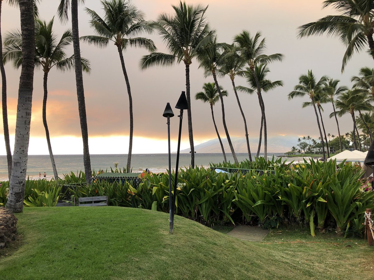 johnkingaustin's tweet photo. We are in Maui and ash is falling from the sky. No volcano, just a wildfire by the mountain. Still so beautiful! #firecane #maui https://t.co/Z0HFCJze1a