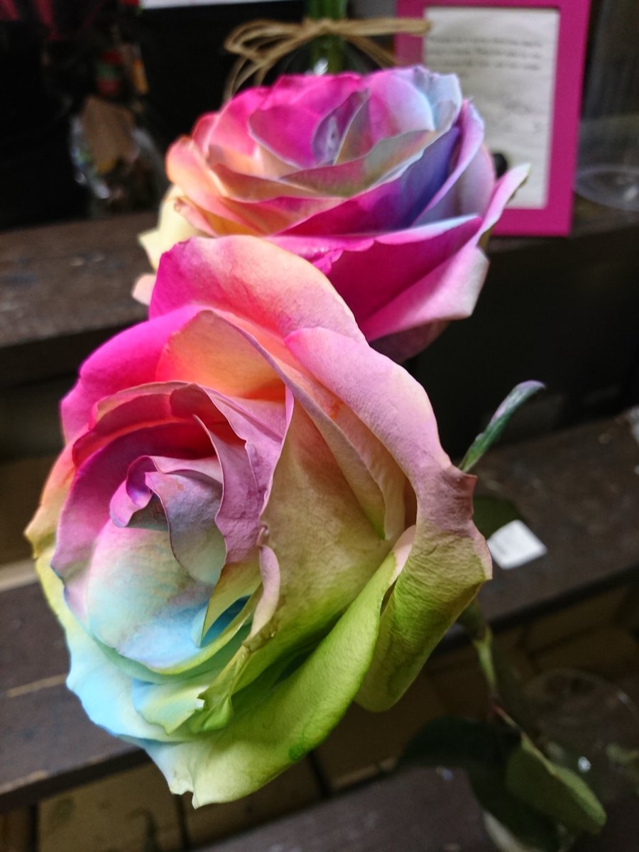 EdgewoodFlowers's tweet image. #HowToSparkMyFirework with rainbow 🌈 roses