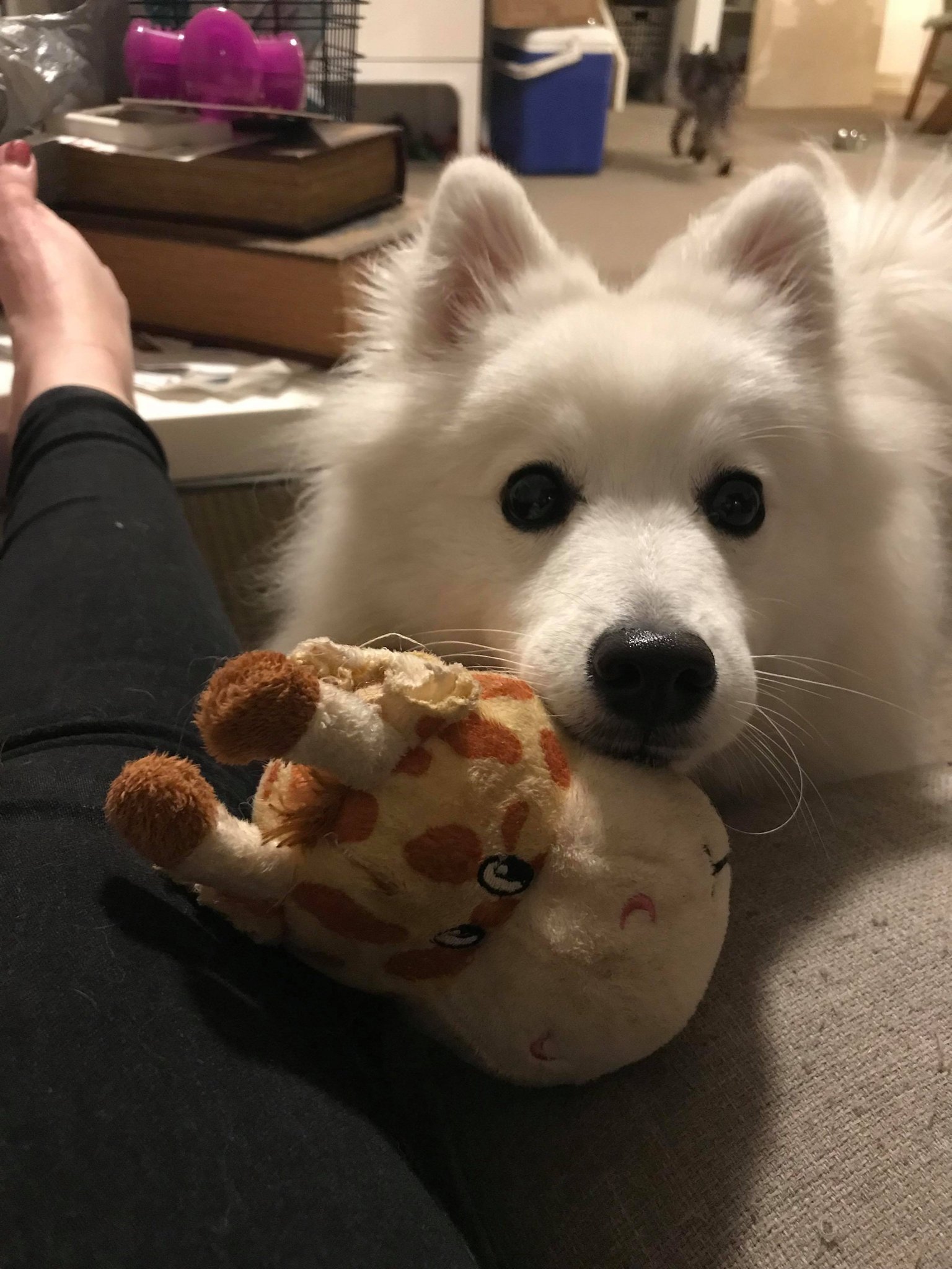 同我玩 Twitter Search Twitter