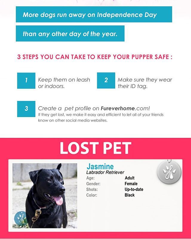 FindFureverhome's tweet photo. NEW FEATURE: Pet Profiles!
BONUS FEATURE: Lost Pet + Lost Adoptable Status
.
Adoptable profiles can now be transferred between shelters and rescues and to users upon adoption! Didn’t find your furbaby on Fureverhome? No worries, you can still create all … https://t.co/LzklK2nvWz https://t.co/M9zflKEdbV