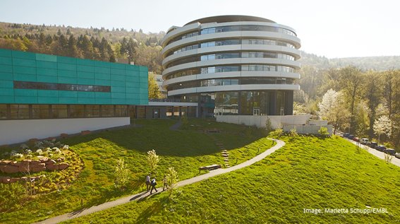 Boehringer's tweet image. Supported by @BioRNCluster, we are excited to meet the Heidelberg #LifeScience community at our tomorrow’s Office Hours and Summer #Networking Reception!