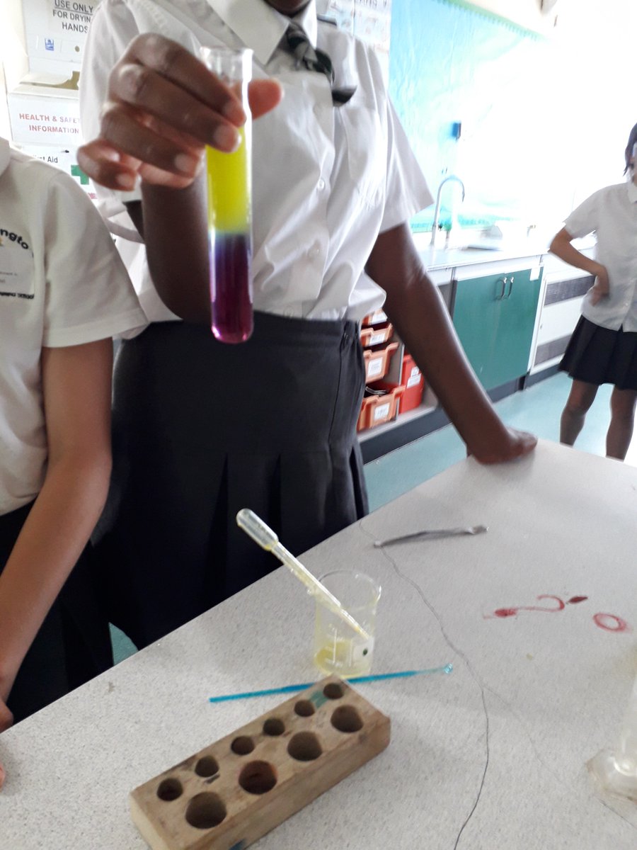 PRS_Science's tweet photo. Some excellent practical skills being shown by our new year 7s today. Density rainbows #colourfulscience https://t.co/r4dRfsNrYa