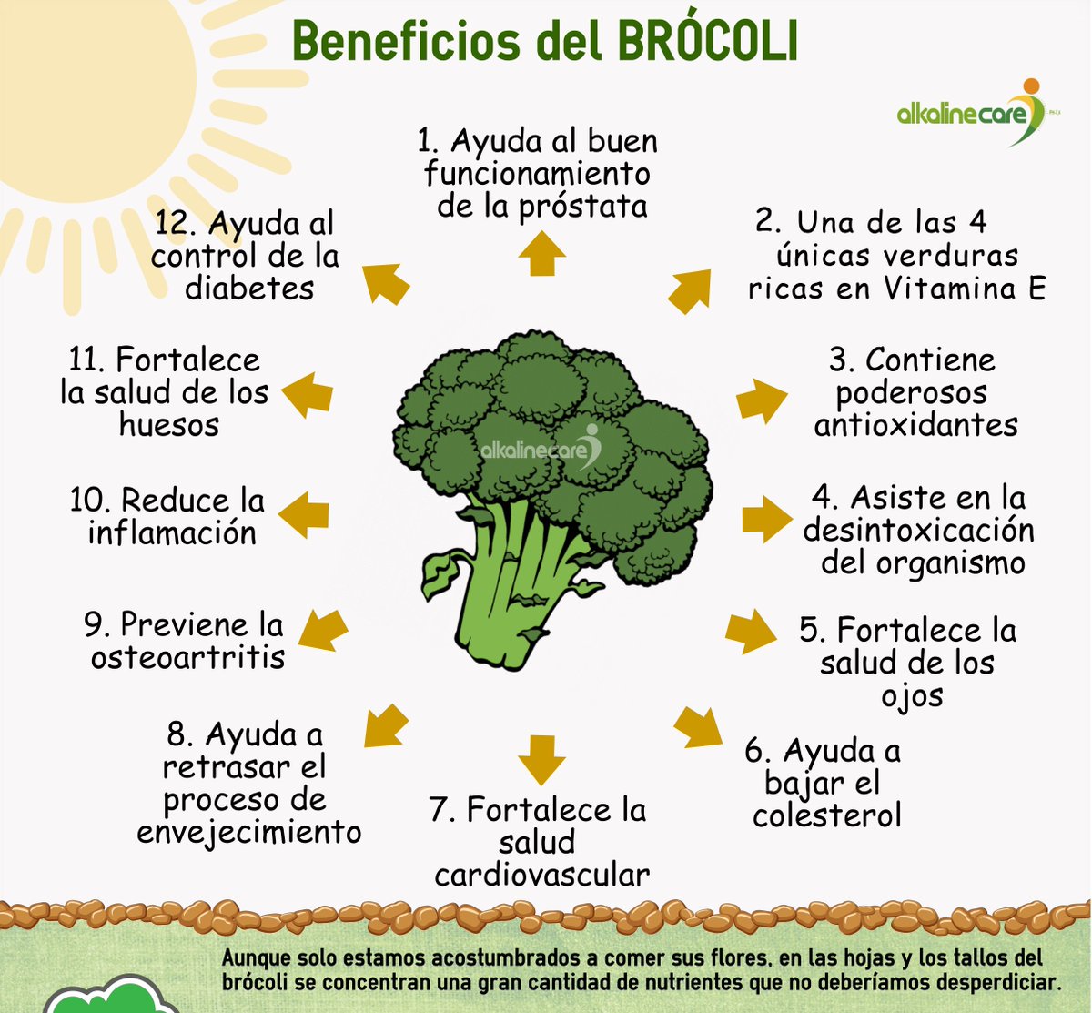 AlkalineCare's tweet photo. #FelizMiércoles #4dejulio #DíadelaEnsalada 🥗 https://t.co/DuusUMsMkW