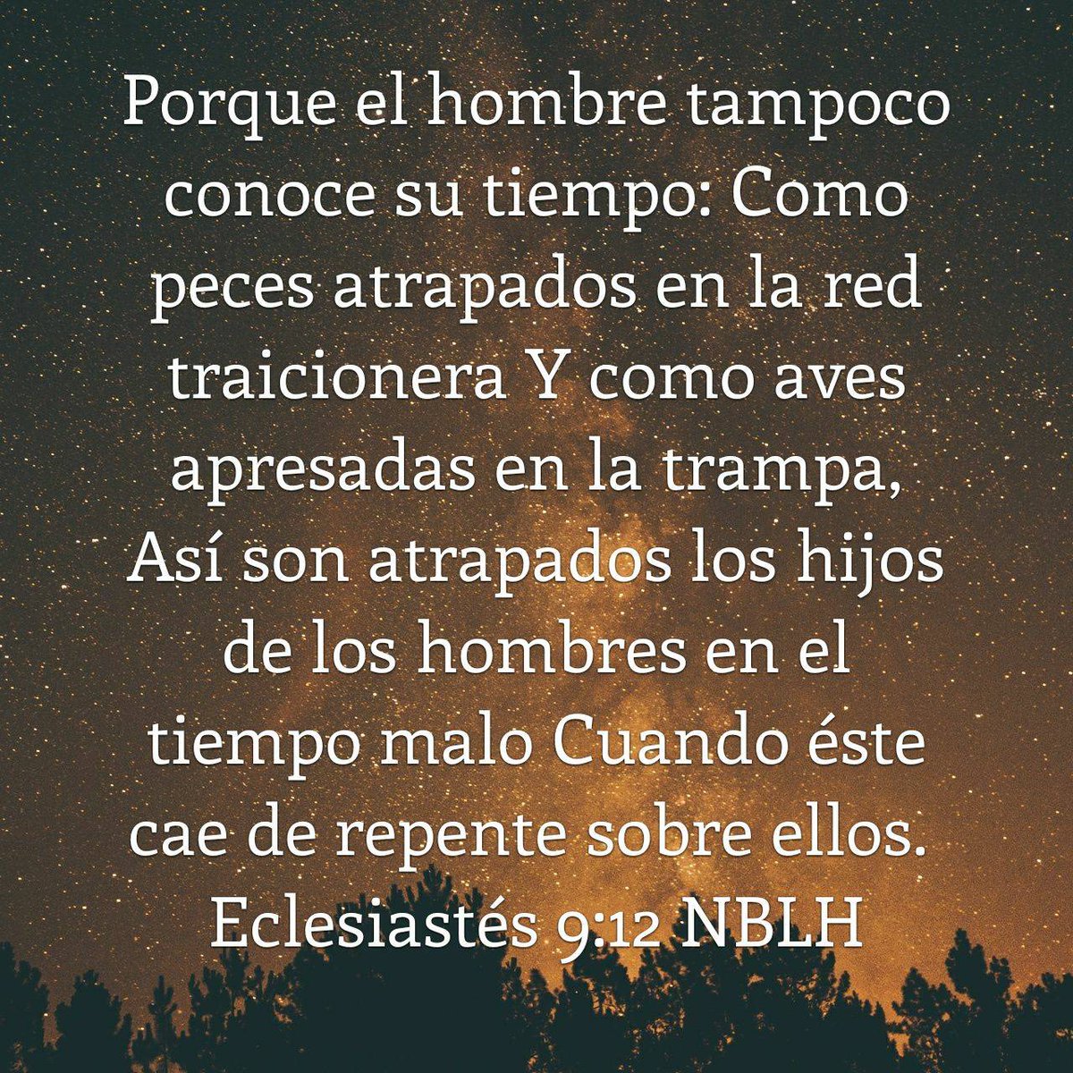 rramirezjin's tweet photo. Porque el hombre tampoco conoce su tiempo: Como peces atrapados en la red traicionera Y como aves apresadas en la trampa, Así son atrapados los hijos de los hombres en el tiempo malo Cuando éste cae de repente sobre ellos.
Eclesiastés 9:12 NBLH
https://t.co/Punax4MsF7 https://t.co/D5hGY6qy7R
