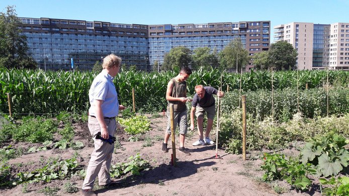 vivideo's tweet photo. Komkommernieuws (letterlijk!) uit het @bisdombreda: 
https://t.co/Ea2kjNAy7k @BNDeStemBreda #diaconie #moestuin https://t.co/sLpCOJ9Z0N