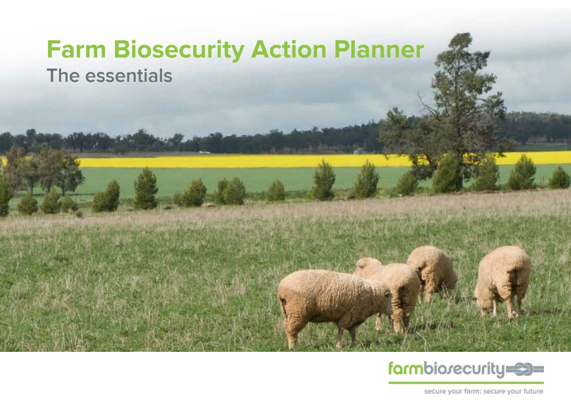 Animal Health Australia on Twitter "Putting together an onfarm