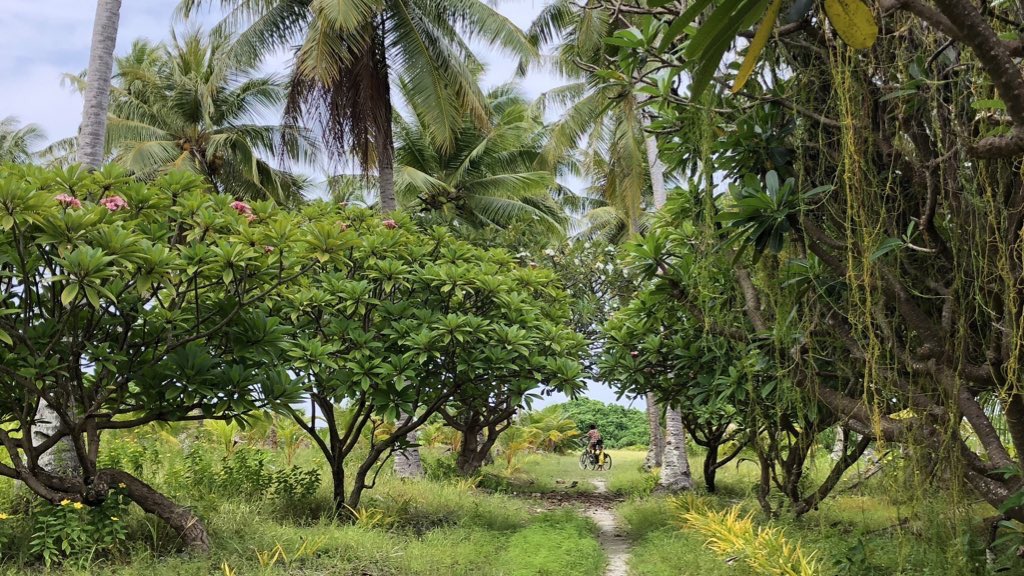 Myalima28's tweet photo. Ijon ej make wot m aibojoj #myhomeland #likiepatoll ❤️😍❤️ https://t.co/tsXXuB5lT4
