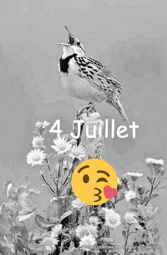 Jordan Diamond tweet media