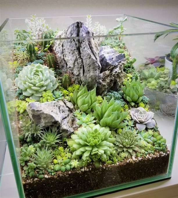 18年3月 立体植栽 多肉植物テラリウム Creative And Botanical Life