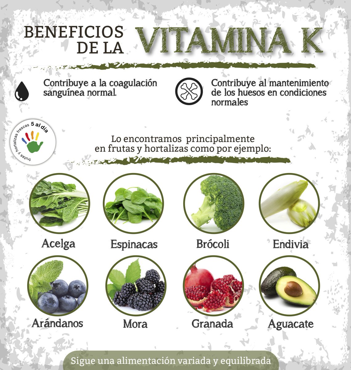 5aldiaspain's tweet photo. ¿Conoces las #frutas y #hortalizas que contienen #vitaminaK? #Infórmatecon5aldía 🖐 https://t.co/FvE64SImdc