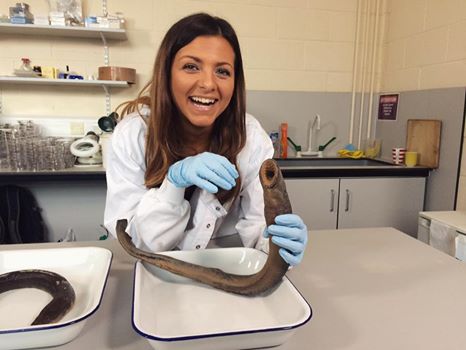 TechFestNews's tweet image. Which animal has the best camouflage? How do species adapt to living in the deep sea ocean?   Cbeebies and wildlife superstar @_LizzieDaly is presenting Wild Adaptations at TechFest 15.09.18. Follow us for the release of our Festival Programme #Inspireme #wildlife #BBCScience