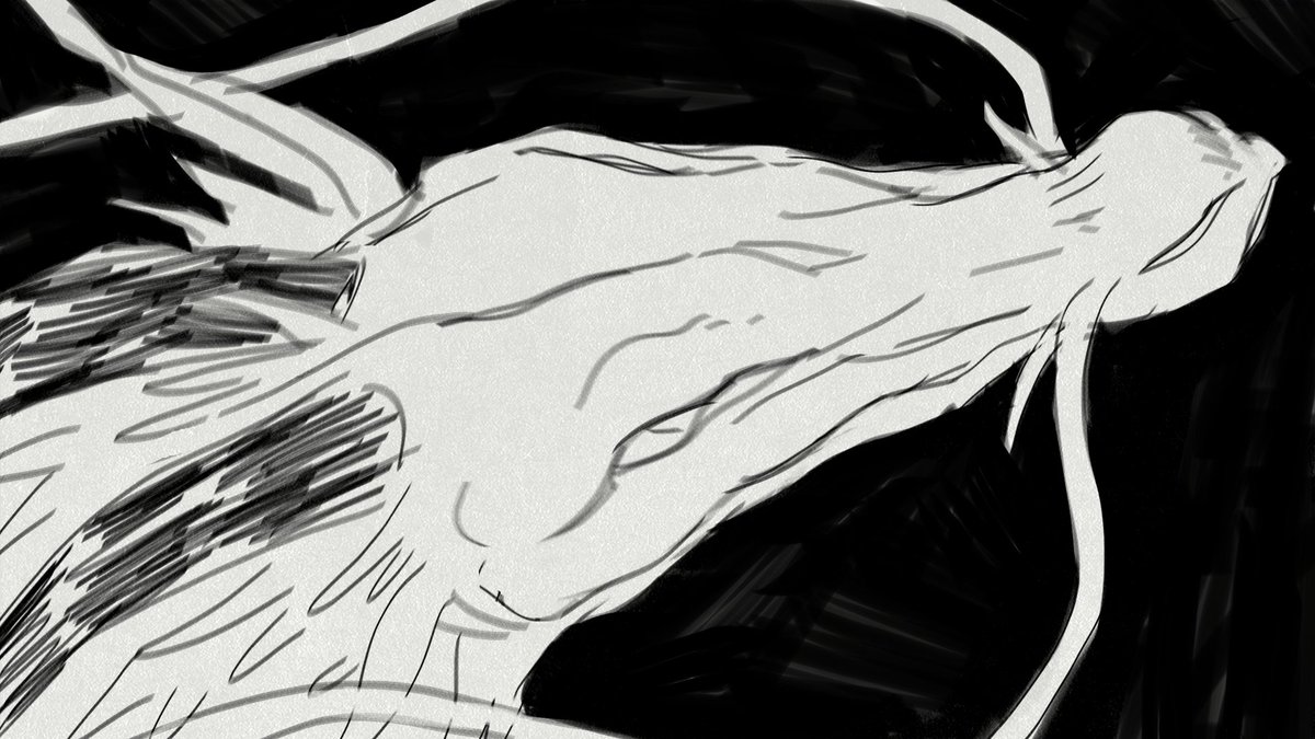 life has been kicking my ass lately so i've been doodling things that feel safe and familiar. in my case it's dragons