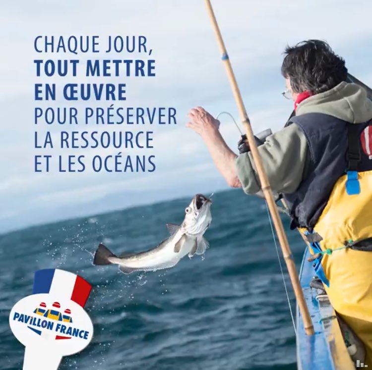 scapeche's tweet photo. Les efforts des pêcheurs européens ont porté leur fruits 👍 En 13 ans, les populations de #poissons suivies par les scientifiques ont augmenté de près de 40 % dans les eaux européennes (source : évaluations du CIEM – juin 2018) https://t.co/zEEqzVuQ3n via #pavillonFrance https://t.co/4gpwQEN0OS