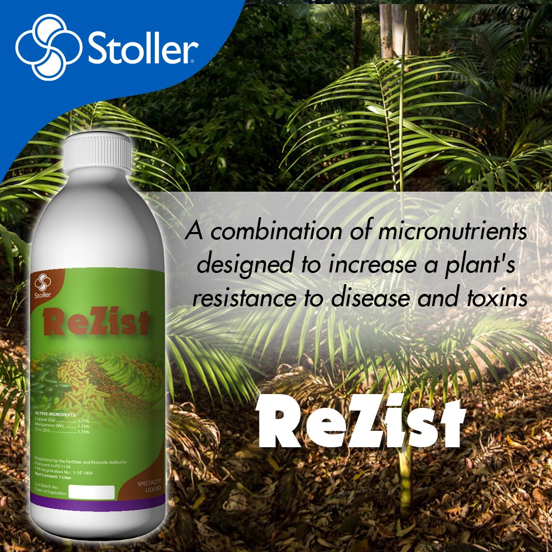 StollerPH's tweet photo. Re-Zist
Can help re-root and strengthen plants so that normal fungicides and bactericides can achieve better control
#StollerPH
#ReZist
#OilPalmPH
#CropScience
#FarmSolutions
#CDIDigitalMarketing https://t.co/DB5FGRW1Yh