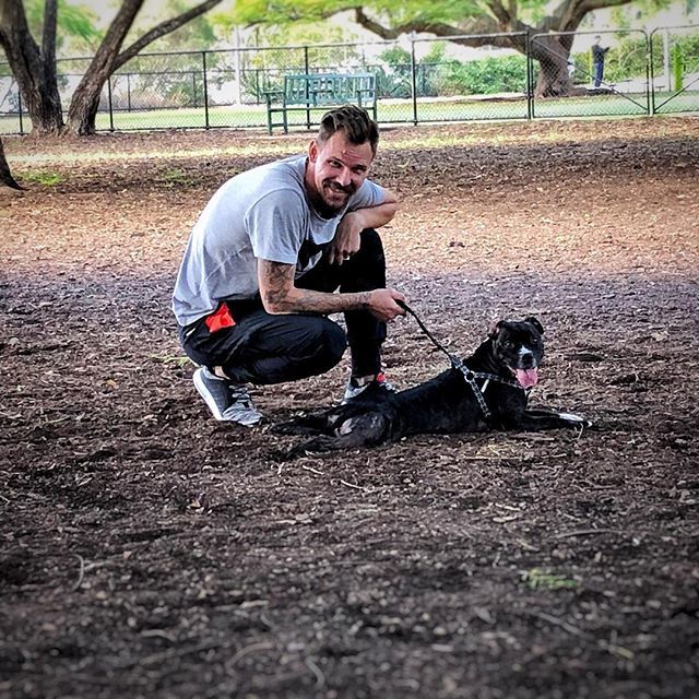 DustyRich's tweet photo. A man and his dog! Just adopted this stunner! Her names Kola! She lies down exactly like I do in public places. #statuesquestafie #mydog #doglife #mybitch #happy #fakinhappy #gotadog #comedianandhisdog https://t.co/FWu0R1mdc0 https://t.co/7rduKqpkSX