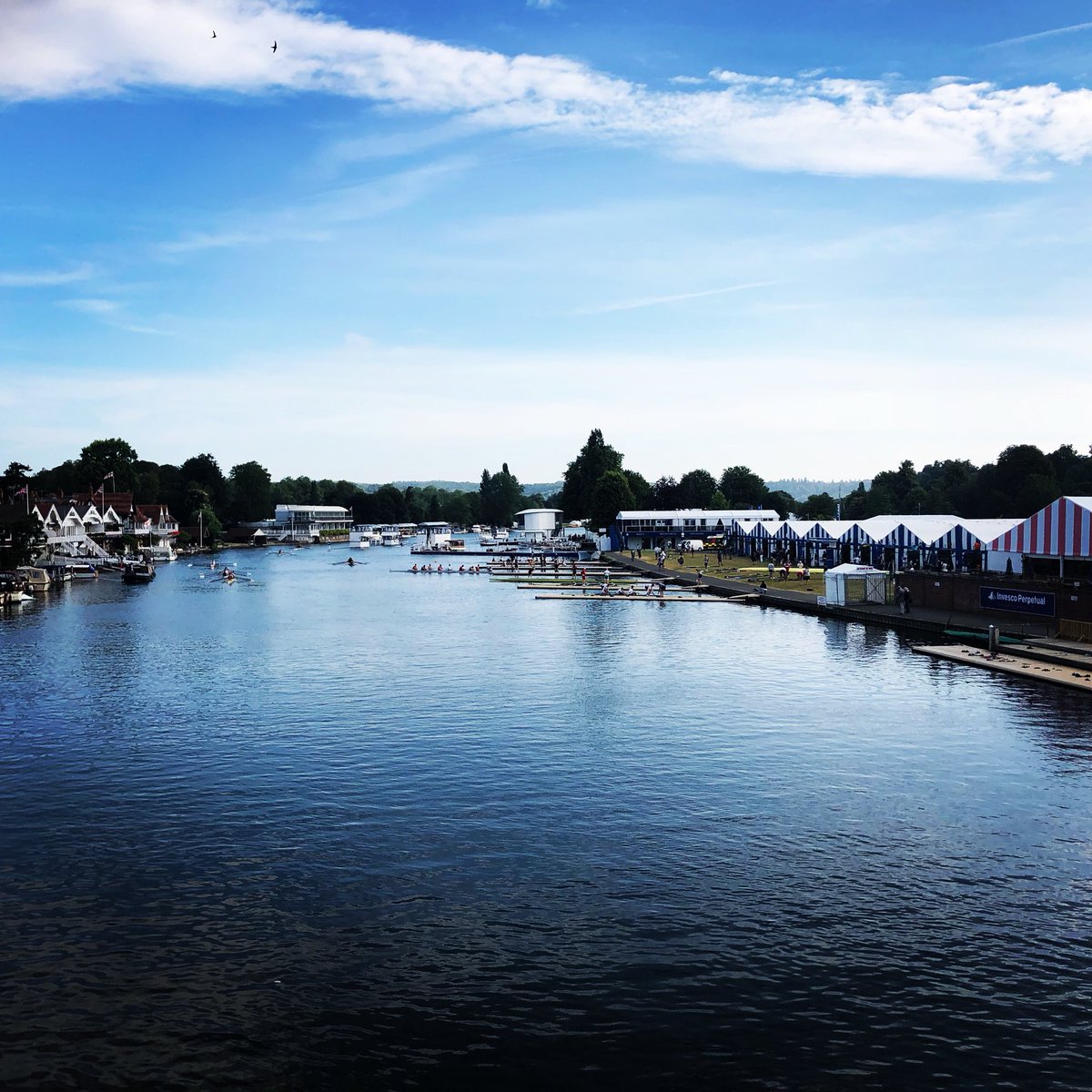Henley Royal Regatta tweet media