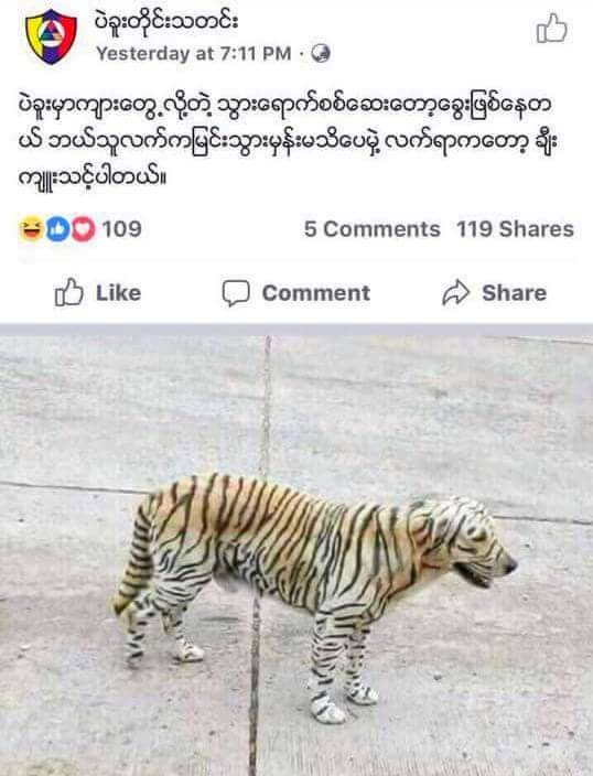 လႊတ္ေတာ္မွာ မဲခဲြခိုင္းရင္ေတာ့ က်ားျဖစ္မွာပါ …