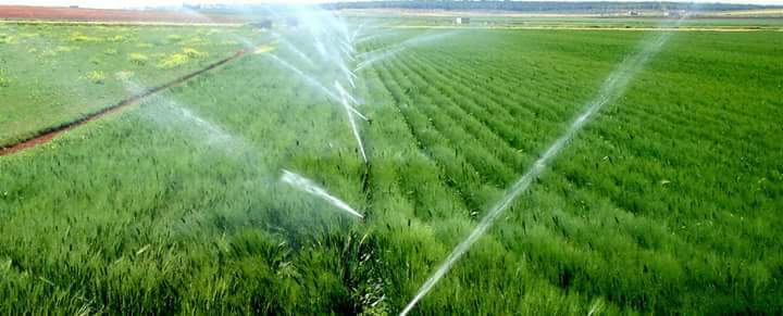 Kadpmc's tweet photo. In our quest to revolutionise the agricultural sector, @Kadpmc will provide produce aggregation, clean-up/processing, storage facilities to groups of farmers, liaise with buyers to purchase products. @elrufai @bantexkd @contactkdsg @GovKaduna @AgrilandIreland @MdAgDept @AgMuseum https://t.co/IkOza4bajH