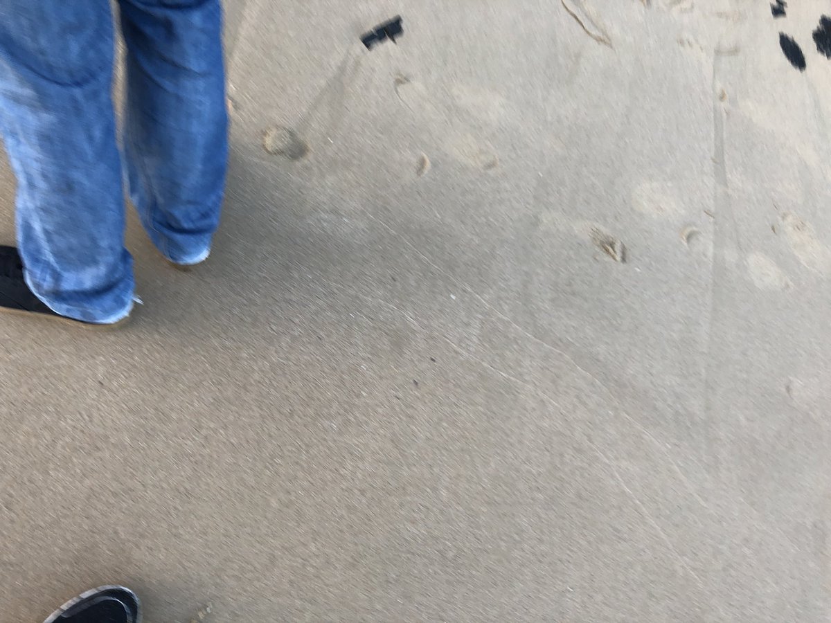 KiamaBlowhole's tweet photo. #PlasticFreeJuly Kiama beach clean up organised by Kiama Plastic Free! Labor candidate for Kiama Andy Higgins and his family return with fulll bags! No Soggy Toilet Roll Left Behind and a clean beach the result! https://t.co/zXuMYOOh7Q