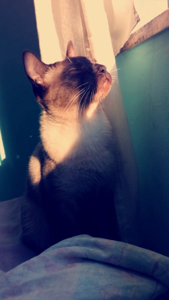 poxaluzz's tweet photo. 2 do meu filho ❤️ https://t.co/kgUBRUu2Fj