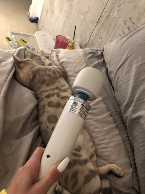 @mr__moneybags Got it lol https://t.co/7lyPGM18iX<a class="tags" target="_blank" title="On Twitter" href="/?out=eyJ0eXAiOiJKV1QiLCJhbGciOiJIUzUxMiJ9.eyJpYXQiOjE3MjUyMDM1NjIsImlzcyI6InR3cG9ybnN0YXJzLmNvbSIsIm5iZiI6MTcyNTIwMzU2MiwiZXhwIjoxNzU2NzM5NTYyLCJyZWRpcmVjdF91cmwiOiJodHRwczovL3R3aXR0ZXIuY29tL21yX19tb25leWJhZ3MifQ._Z3lDxPLMLJKouaVemfd55NSfovgjfHSNIfvfGm2FqP3JJwKVGlXURy5DIMBng3CVGbzi-wF0DdgTHvaj1gl0g">@mr__moneybags</a><a href="/tag/fan"class="tags"><span>#fan</span></a>