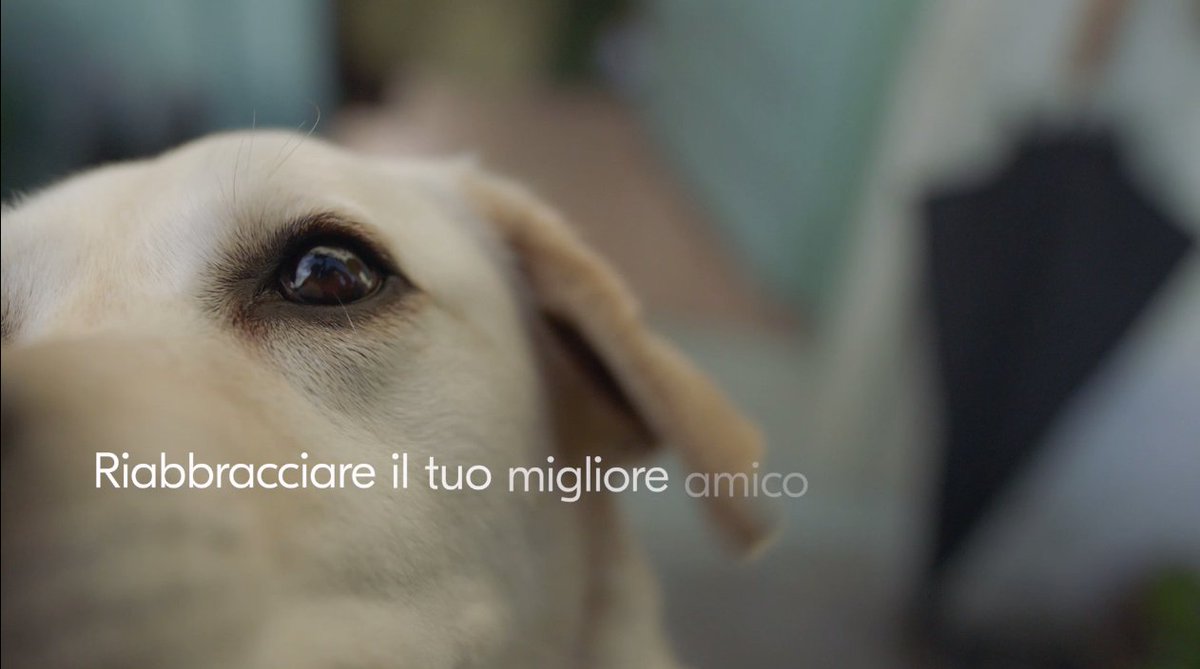 “La libertà di partire domani” è la nuova campagna di Blablacar tgtourism.tv/2018/07/nuova-…