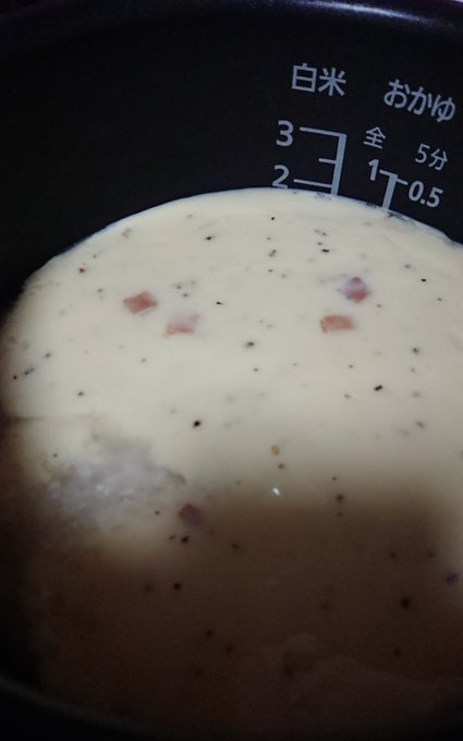 生米にパスタソース突っ込んで水入れてボタン押すだけでめちゃくちゃめちゃくちゃ美味しいリゾットが出来ることなんで誰も教えてくれなかったんですか??????QOLがメキメキあがる~~~~!!!!!!!!