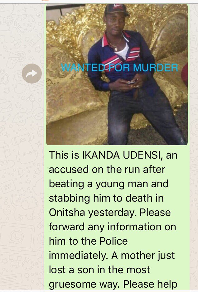 speak4them1's tweet photo. @GovWillieObiano what are you doing for this your staff #IKANDA who is wanted 4 Murder. @Anambrastate_ng @ZivaPrecious @NGRSenate @NGRPresident @NGRHouseofReps @IjeomahG @SJFindlay @stephhegarty @tmannazy @AishaYesufu @obyezeks @renoomokri @Onyemachinyer @Samhez4Christ @kay_lechi https://t.co/VyeUHiXuVx
