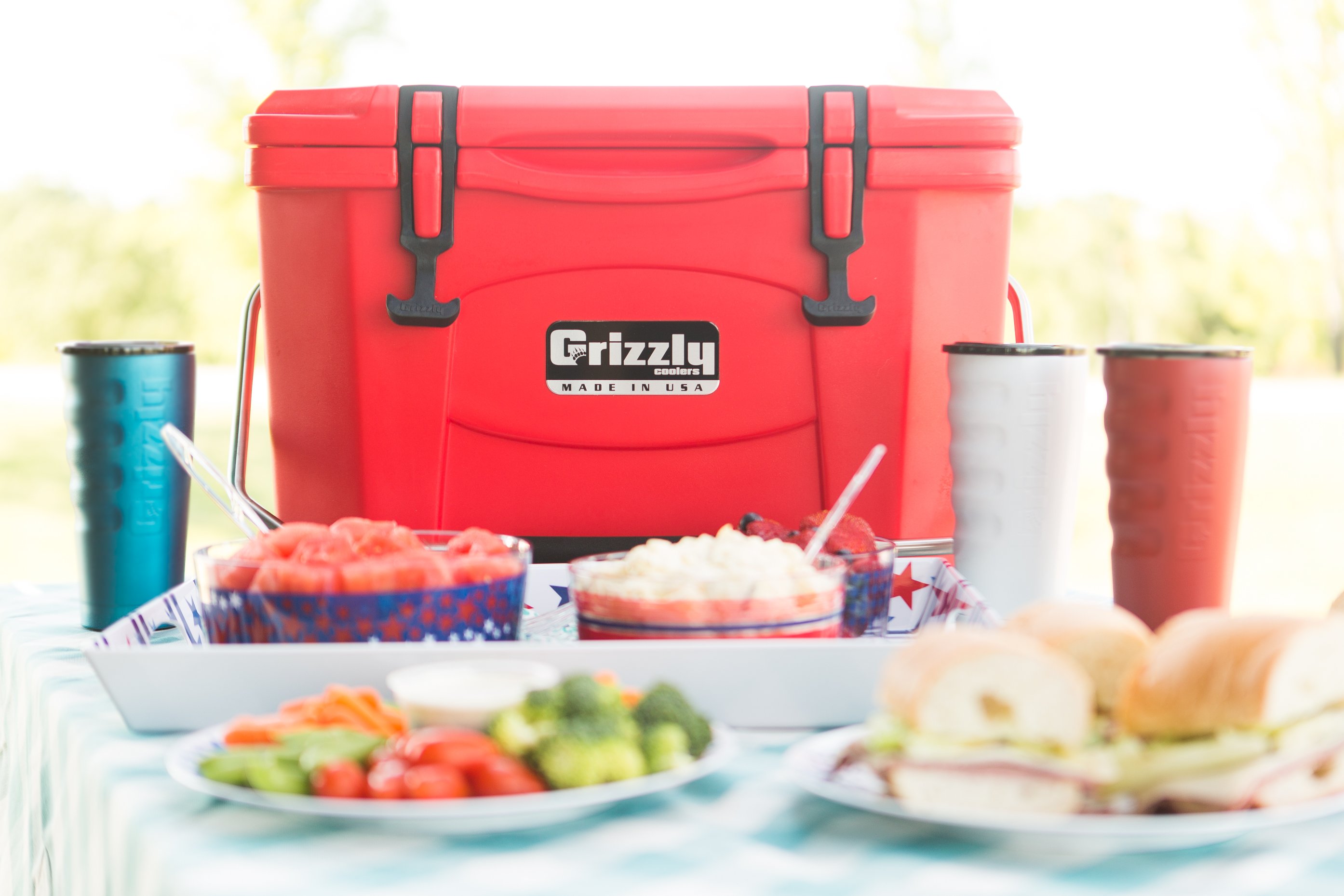 Grizzly coolers near me sales