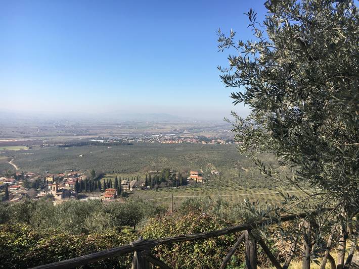 Onuitalia's tweet photo. Olive slopes of #Spoleto and #Assisi included in @FAO World Agricultural Heritage System #GIHAS https://t.co/BBuUkOpAUi
@Mipaaf @TFUNESCO #sustainability #SDGs https://t.co/CiT4A9sJu6