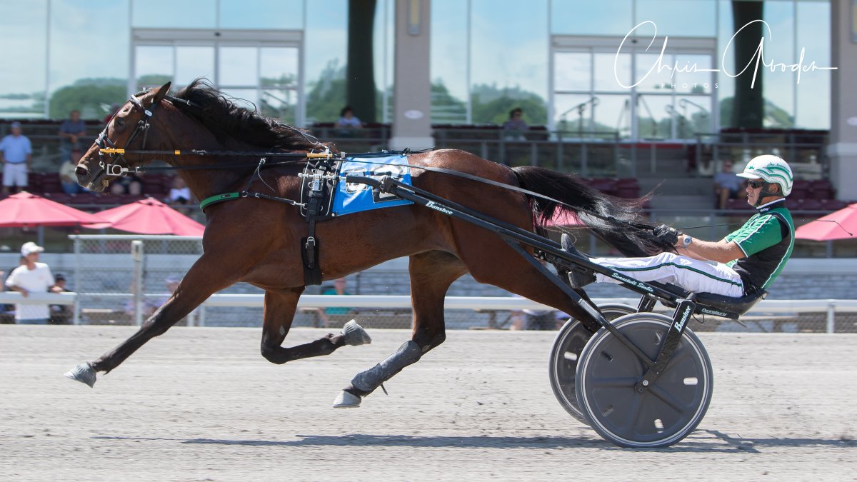 #PersonalParadise 🇺🇸 #MuscleHill won $38,000 4th div #PASireStake - 2yo Filly Trot on @MeadowsCasino with @USASvans ⏱️1:58.4 (28.1)
📸 @CGoodenPhotos