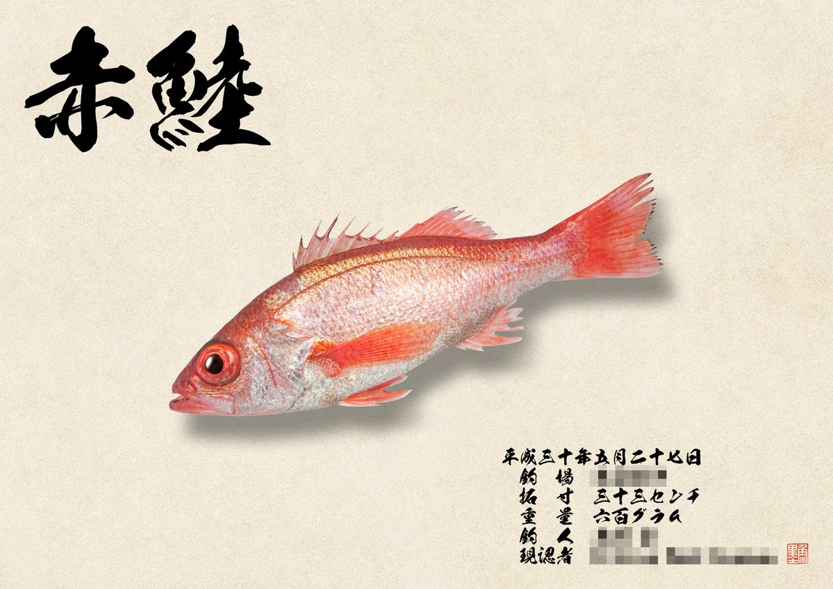 デジタル魚拓 魚墨 本日のデジタル魚拓のご紹介は リアル魚拓 アカムツ 33 魚拓にすると その澄んだ目と透き通るような体の色が際立って美しいといった表現がお似合いです ぜひ アカムツ釣りに出かけてみてください 魚 魚拓 釣り デジタル デジタル魚拓 魚墨 本日のデジタル魚拓のご紹介は リアル魚拓 アカムツ 33 魚拓にすると その澄んだ目と透き通るような体の色が際立って美しいといった表現がお似合いです ぜひ アカムツ釣りに出かけてみてください 魚 魚拓 釣り デジタル