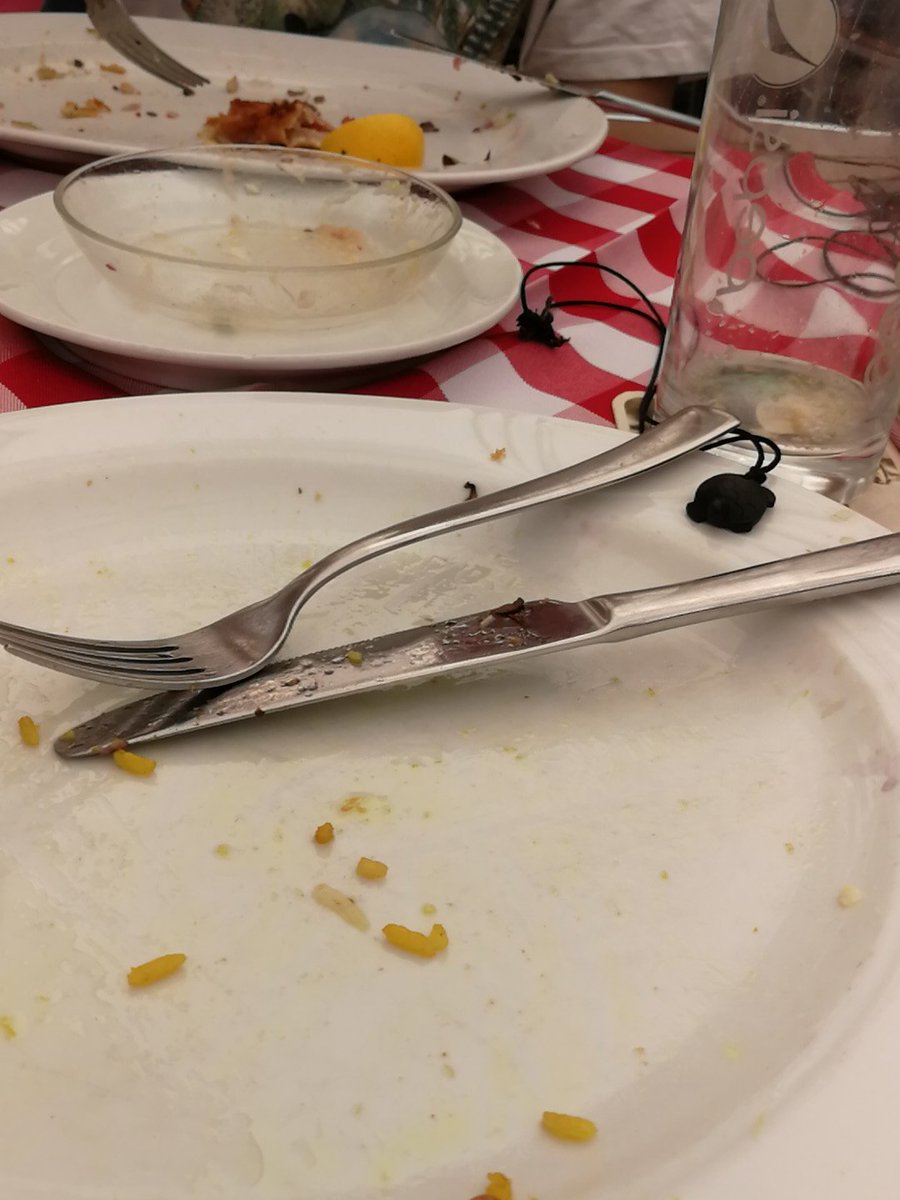 dissapointinger's tweet photo. Hat den sommer Schnitzel zerlegt ✅ https://t.co/Tjg8gmtU6X