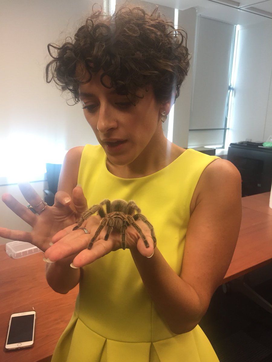 LaurenTedaldi's tweet photo. I think I was supposed to look less excited and more scared for our @TheBHF #faceafear visit from Rose the tarantula and her friend the snake (didn’t catch her name). Great day at the office 🐍 🕷❤️ https://t.co/hRVEBnXvbt