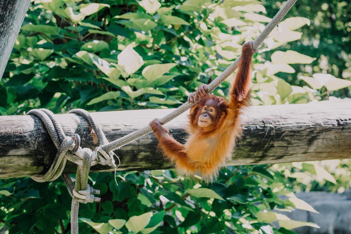 We're celebrating the ❤️♡💙 today. Swing on by, we're open! Happy Independence Day, y'all!