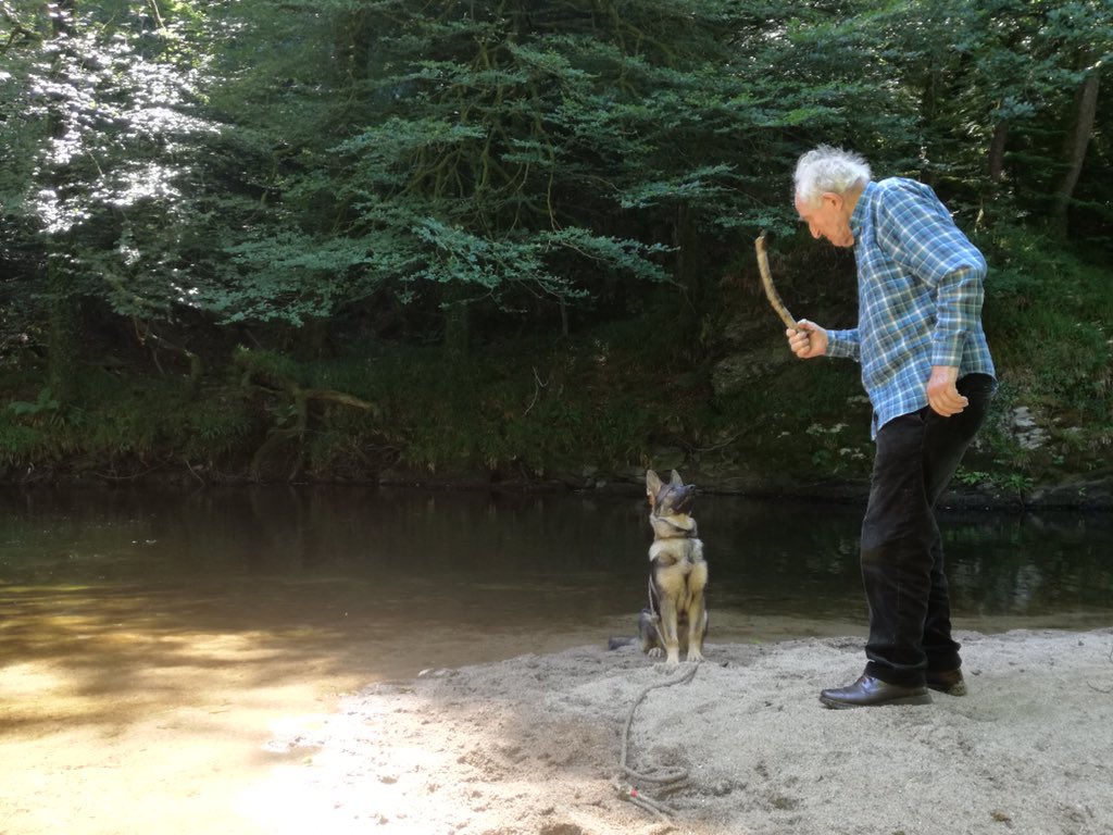 DC_PoliceDogs's tweet photo. 86 year old Graham Mabbutt (Former Police dog Instructor in D&amp;C) still helping people with their dogs. Here showing new owner Sam how to walk 4 month old Elsie from our E litter in the park and town ignoring all https://t.co/NxSUUxQ8UN inspiration to us all. https://t.co/axkeYYgXs8