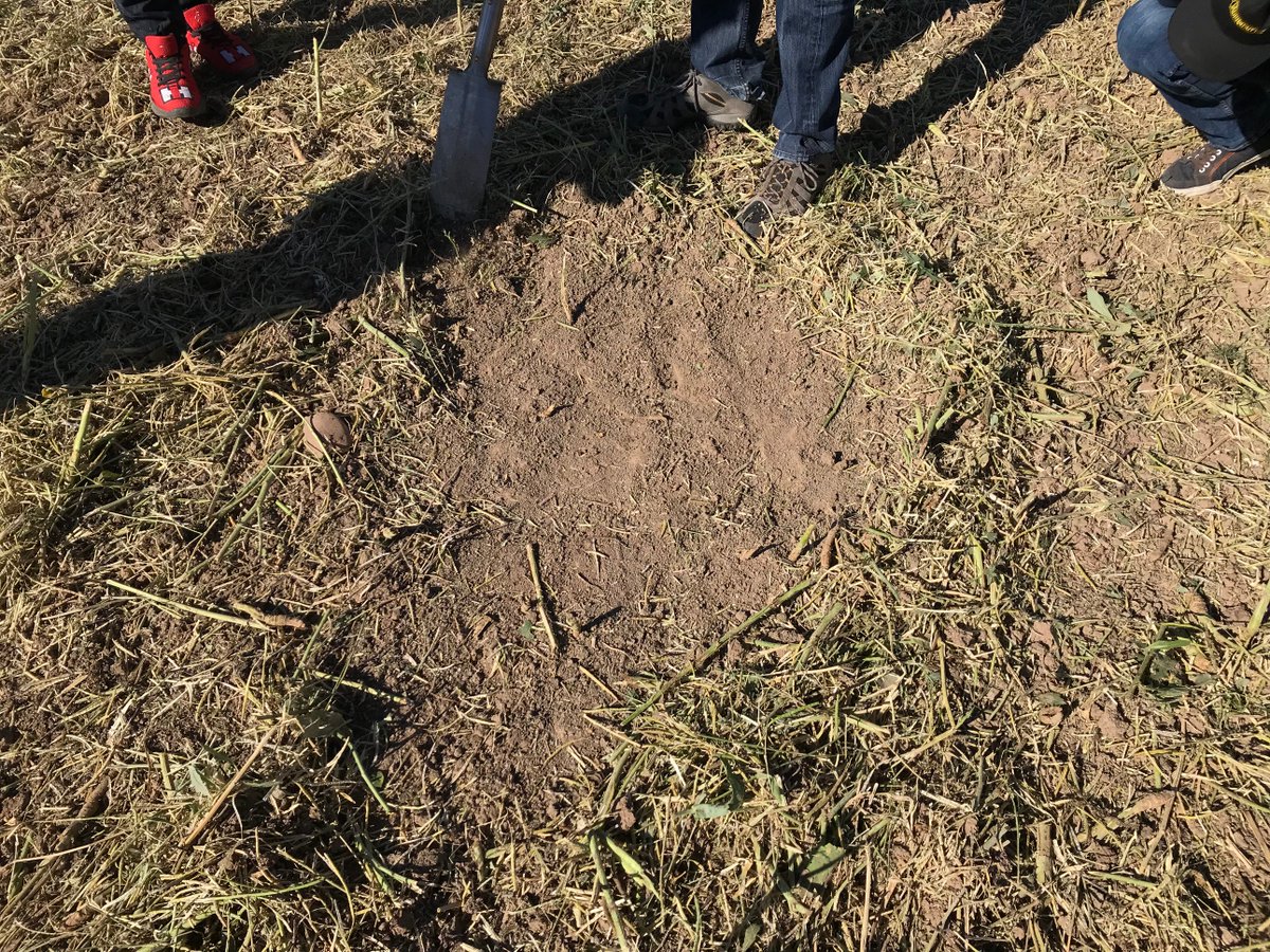 vaderstad's tweet photo. Ultra-shallow tillage focus! During this week we have focused on our latest innovation, the unique CrossCutter Disc. Demo and a lot of interesting discussions with farmers and agronomists. Read more about CrossCutter Disc: https://t.co/LGHNwGC4qK #ultrashallow https://t.co/QSpC40vixs