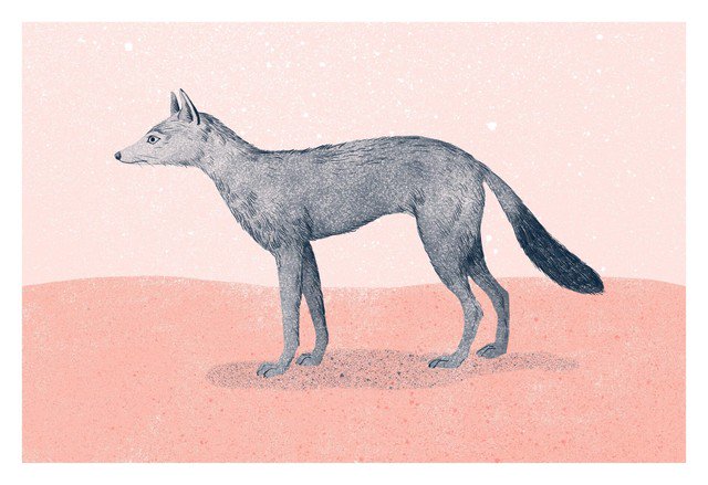 DesignSlam's tweet image. Sandra Rilova — Wild

designslam.me/showcase/sandr… #illustration #illustrator #designslam #design