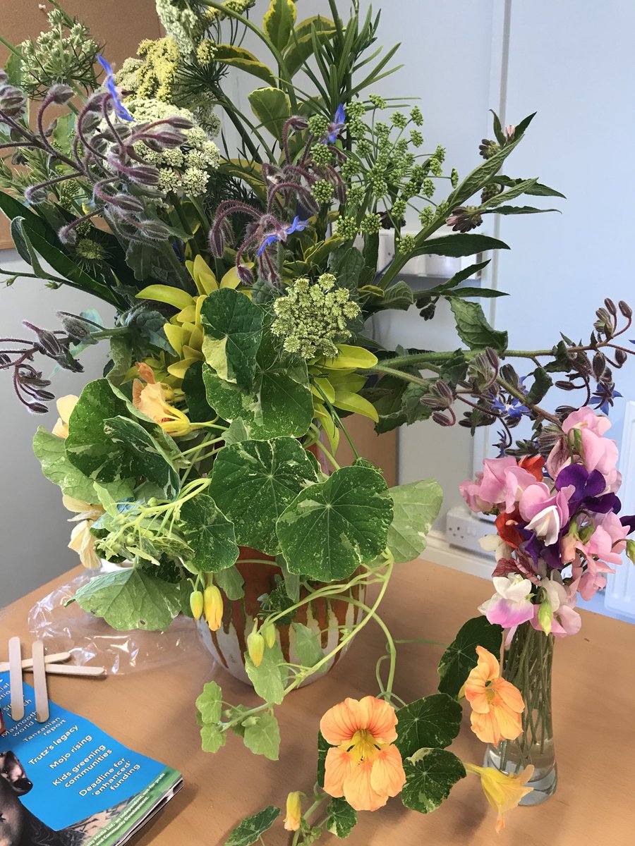 TheIrishMammy1's tweet photo. Brightening up the office today #bringtheoutsideinside #Homegrown #giy https://t.co/bcng619Hts