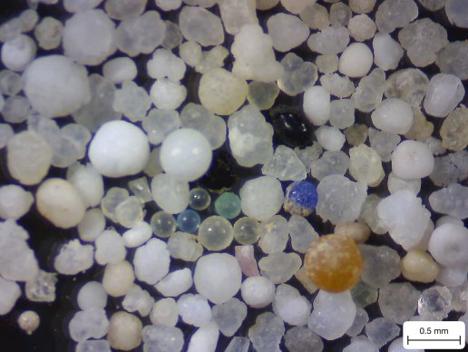 HKU_Science tweet media