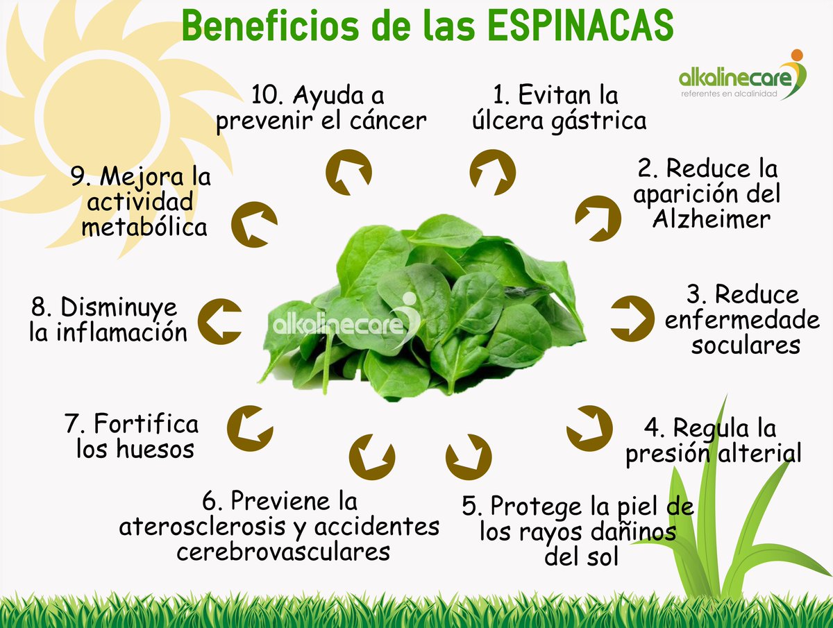 AlkalineCare's tweet photo. #FelizMiercoles #4dejulio #DíadelaEnsalada 🥗 https://t.co/Yn5BGbxYOS