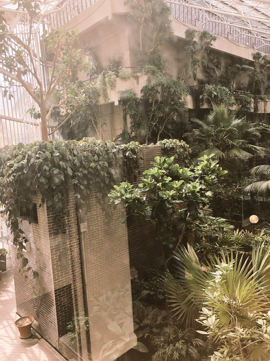 So excited to be at #IoFFC <a href="/IoFtweets/">Account</a> today. Some great sessions lined up &amp; I had never appreciated how beautiful the Barbican Centre is!