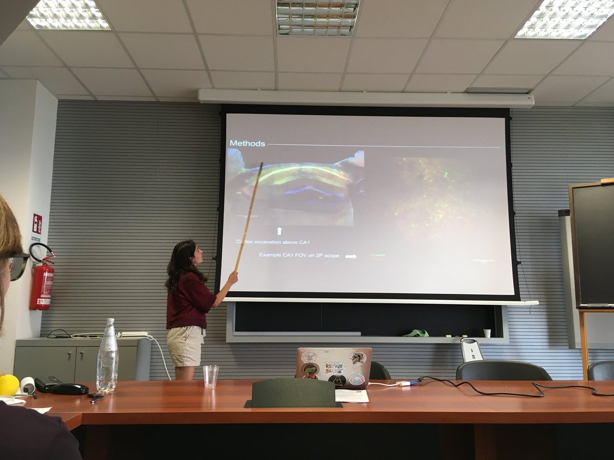 OscarChadney's tweet photo. Summer School #tex2018 comes to an end, it has been a pleasure, thank you #MGate @Sissaschool https://t.co/IRMZ92QMMy