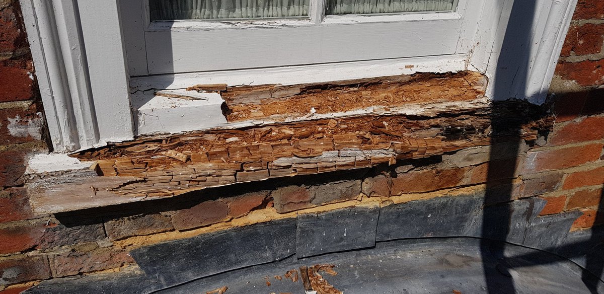 DecoratorAndy's tweet image. Looking like a @Festool_GB morning #masterDecorators andrewpullen.co.uk